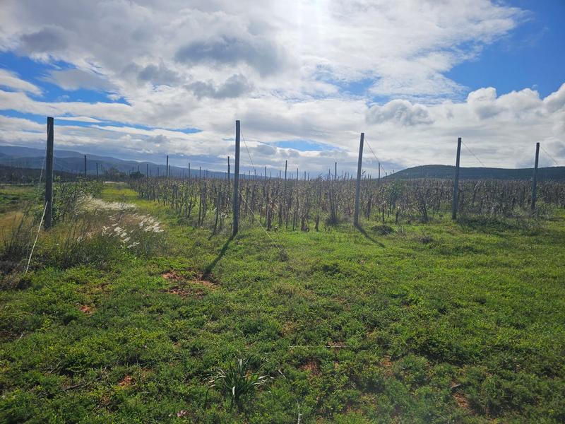 0 Bedroom Property for Sale in Uitenhage Eastern Cape